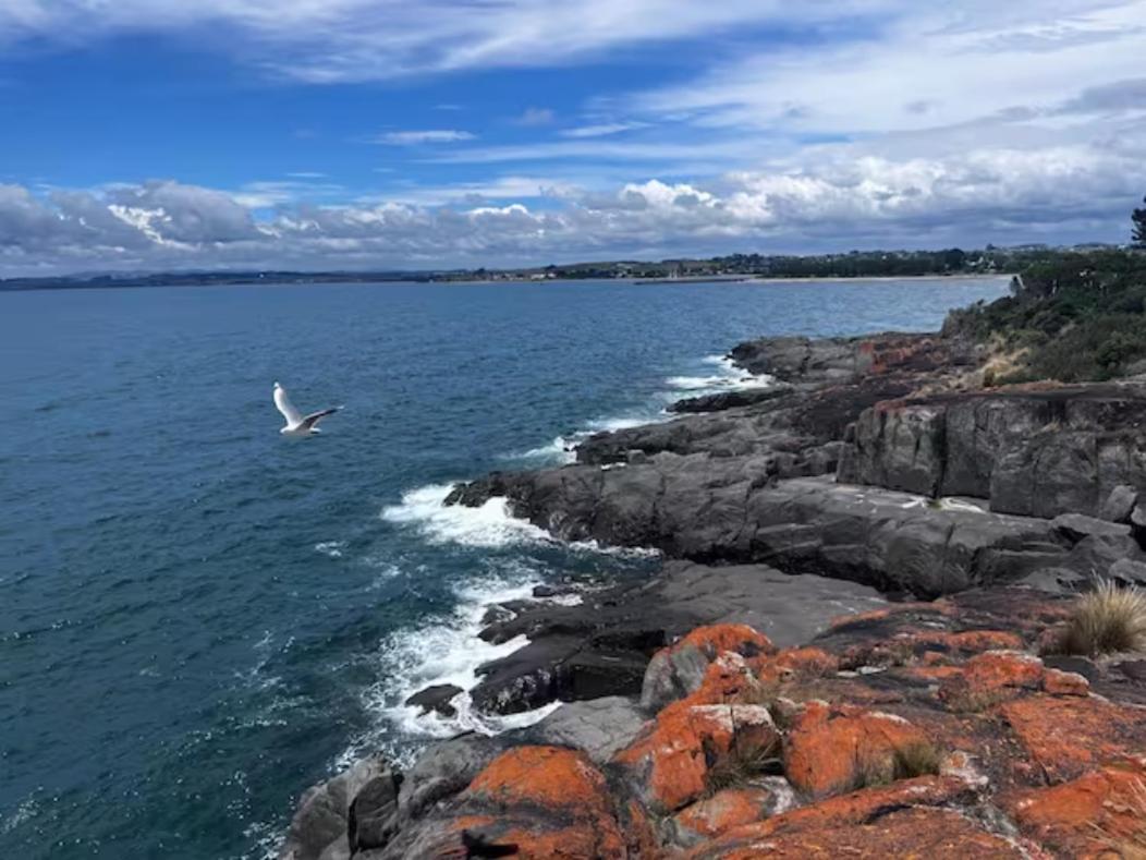 The Dannebrog Lodge Devonport Bagian luar foto
